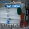 twin filter cartridge indonesia  medium